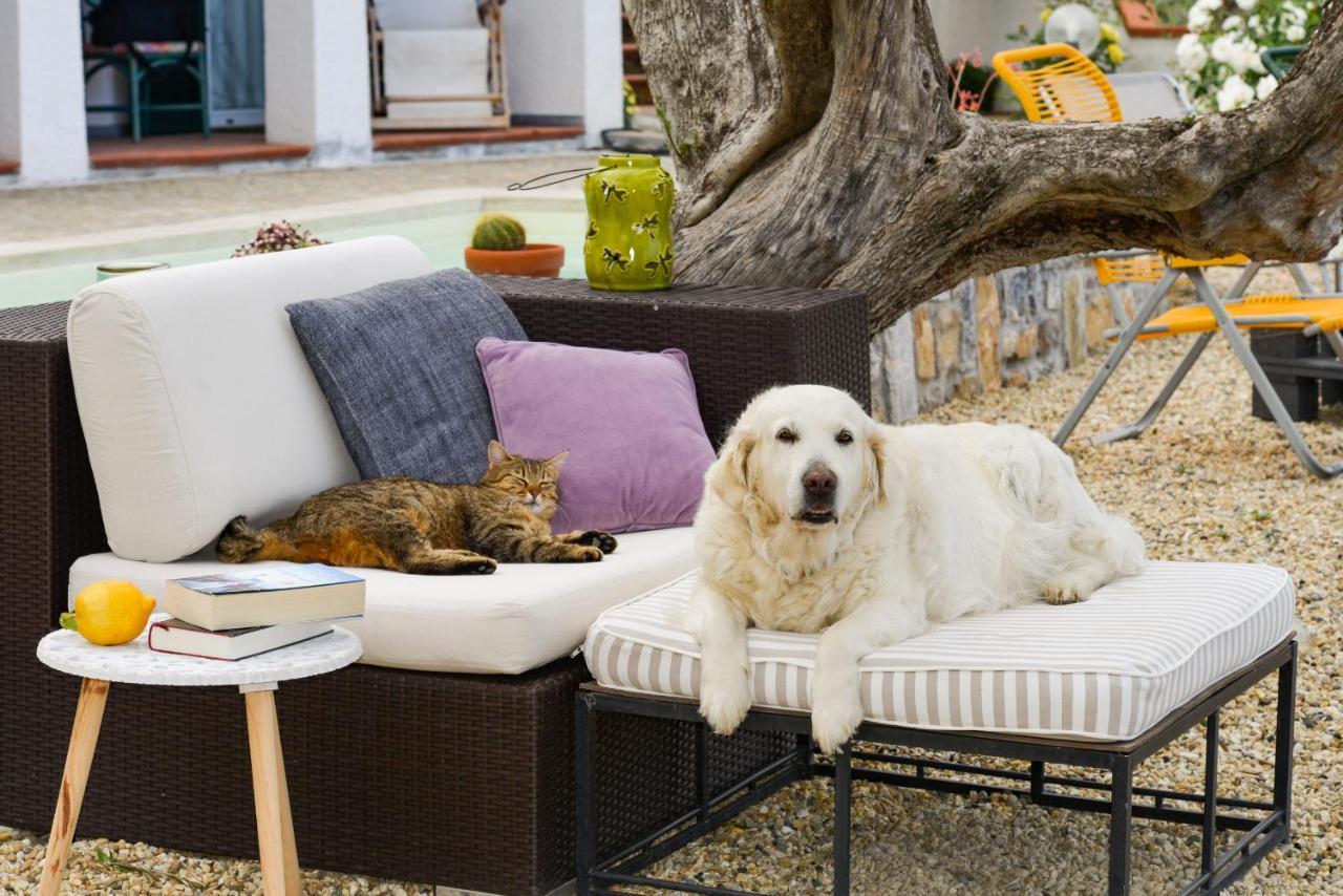 Villa Annetta Poggi ภายนอก รูปภาพ