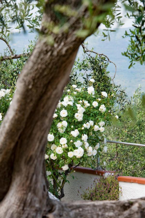 Villa Annetta Poggi ภายนอก รูปภาพ