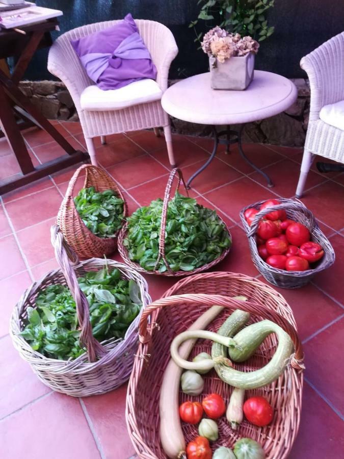 Villa Annetta Poggi ภายนอก รูปภาพ